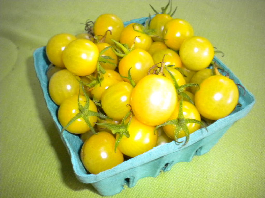 Tomatoes_4